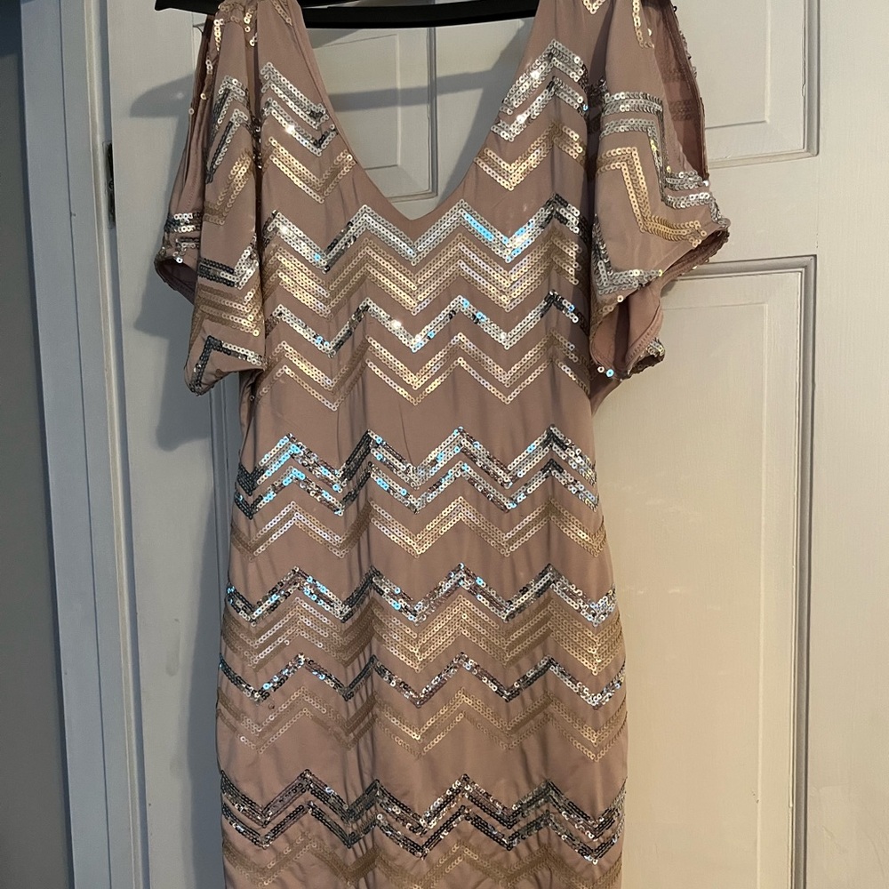 Champagne sequin mini dress (Love Reign)